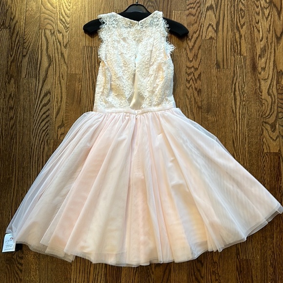 Ted baker pink blush cocktail dress. Size 1 - Picture 2 of 7